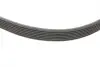 Комплект ременя генератора BMW 3 (E90/E91/E92/E93) 06-13 (7PK1103) N43B16/B20 INA 529 0049 10 (фото 2)