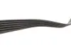 Комплект ремня генератора Citroen Berlingo/Peugeot Partner 2.0HDI 99-11 (6PK1740) INA 529 0092 10 (фото 2)