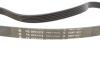 Комплект ремня генератора Audi A2/Seat Ibiza/Skoda Fabia/VW Golf/Polo 1.4/1.6/1.6FSI 97- (6PK 1078) INA 529 0103 10 (фото 2)