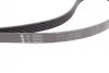 Комплект ремня генератора MB Sprinter/Vito 2.2-2.7 CDI 00-06 (6PK2260) INA 529 0115 21 (фото 14)