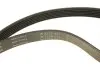 Комплект ремня генератора Citroen Jumpy/Peugeot Expert 1.9D 98-06 (6PK1390) INA 529 0157 10 (фото 4)
