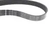 Комплект ремня генератора Audi A4/A6/Q5/Q7 3.0TFSI/VW Touareg 3.0 V6 TSI Hybrid 10-18 (7PK1272) INA 529024510 (фото 3)