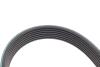 Комплект ременя генератора Audi A4/A6/Q5/Q7 3.0TFSI/VW Touareg 3.0 V6 TSI Hybrid 10-18 (7PK1272) INA 529024510 (фото 4)