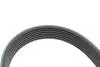 Комплект ремня генератора Audi A4/A6/Q5/Q7 3.0TFSI/VW Touareg 3.0 V6 TSI Hybrid 10-18 (7PK1272) INA 529024510 (фото 4)