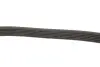 Комплект ременя генератора Citroen Jumper/Peugeot Boxer 2.0 HDi 15- (6PK1708) INA 529 0310 10 (фото 10)