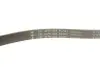 Комплект ременя генератора Citroen Jumper/Peugeot Boxer 2.2 HDi 06- (6PK1640/4EPK922) INA 529 0322 10 (фото 8)