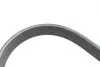 Комплект ременя генератора Citroen C3/C4/Peugeot 2008/208 1.4/1.6D 09- (6PK1020) INA 529 0323 10 (фото 3)