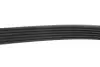 Комплект ременя генератора Chevrolet Cruze/Orlando/Opel Astra/Insignia 08- (6PK1555) INA 529 0327 10 (фото 6)