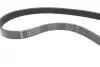 Комплект ремня генератора Citroen Berlingo/Jumpy/Peugeot Expert/Partner 1.6 HDi 08- INA 529 0335 10 (фото 2)