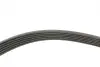 Комплект ремня генератора Opel Astra/Insignia 2.0 CDTI 08-17 (6PK1903) INA 529 0348 10 (фото 2)