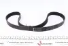 Комплект ременя генератора Audi A3/Skoda Kodiaq/VW Arteon 1.6D/2.0D 12-, (6PK 1033) INA 529 0367 10 (фото 6)