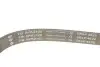 Комплект ремня генератора Land Rover Discovery/Range Rover Sport I 2.7D/3.0D 04-18 (6PK2100) INA 529 0422 10 (фото 4)