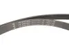 Комплект ременя генератора Audi A3/Skoda Octavia I/VW Golf IV 1.9D 96-10 (6PK1660) INA 529 0471 10 (фото 2)