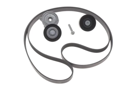 Комплект поліклінових ременів INA 529 0509 10