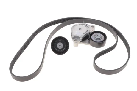 Комплект (ремінь+ролики) INA 529 0516 10