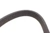 Комплект ременя генератора Ford Mondeo IV 2.2 TDCi 08-15, (6PK 1745) INA 529 0518 10 (фото 12)