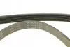 Комплект ремня генератора MB C-class (W205)/E-class (W213) 1.6/2.0 13- INA 529 0530 10 (фото 4)