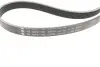 Комплект ремня генератора Fiat Panda/Punto 0.9 12- (5PK1166) INA 529 0536 10 (фото 2)