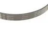 Комплект ременя генератора BMW 3 (F30, F80)/5 (G30/F90)/7 (G11/G12) 15- B46/B48/B58 (6PK1153) INA 529 0566 10 (фото 4)