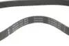 Комплект ременя генератора Citroen Berlingo/Peugeot Partner 1.6 HDi 10- (6PK1020) INA 529 0578 10 (фото 3)