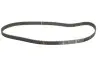 Комплект ГРМ Renault Kangoo 1.9D, 08/97-, 40/47/48kw, F8Q 630/632/662 INA 530 0040 10 (фото 3)