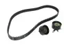 Комплект ГРМ Ford Focus/Mondeo 96-04 (129x25.4) INA 530 0066 10 (фото 1)