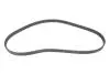 Комплект ГРМ Opel Astra F/Omega A/B 1.6/1.8/2.0i 88-03 INA 530 0147 10 (фото 8)