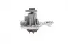 Комплект ГРМ + насос VW Caddy/T4/LT 1.6-2.0 91-01 INA 530 0162 30 (фото 1)