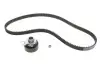 Комплект ГРМ VW Caddy II 1.6i 95-00 INA 530 0167 10 (фото 2)