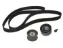 Комплект ГРМ Audi A4/A6/ VW Passat 2.4-2.8 95-05 INA 530 0178 10 (фото 1)