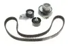 Комплект ГРМ + насос Daewoo Lanos 1.6 16V 97-/Nexia 1.5 16V 95-97 (127x25.4) INA 530 0332 31 (фото 1)