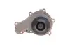 Комплект ГРМ + насос Citroen Berlingo/Peugeot Partner 1.6HDI (z=137) INA 530 0375 30 (фото 7)