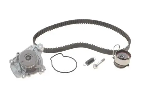 Комплект (ремень+ролики+насос) INA 530 0506 31