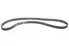 Комплект ГРМ Opel Insignia A 2.0 Biturbo /CDTi 08-, 140/143kw INA 530 0619 10 (фото 5)