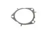 Комплект ГРМ + насос Fiat Stilo 1.0 JTD 03-06 INA 530 0626 30 (фото 17)