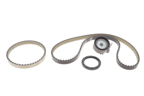 Комплект ГРМ Ford Focus III/Fiesta VI/VII 1.0 12- INA 530 0960 10