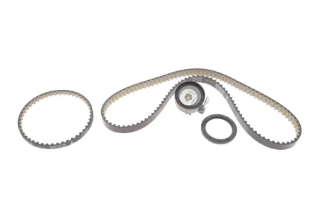 Комплект (ремінь+ролики) INA 530 0961 10