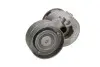 Натяжник ремня генератора Renault Scenic/Megane II/III 1.9dCi/2.0 16V 03-, F9Q/F4R 534 0027 10