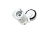 Натяжник ремня генератора Volvo C30/S40/V50/Ford Focus 04-12 INA 534 0030 10 (фото 7)