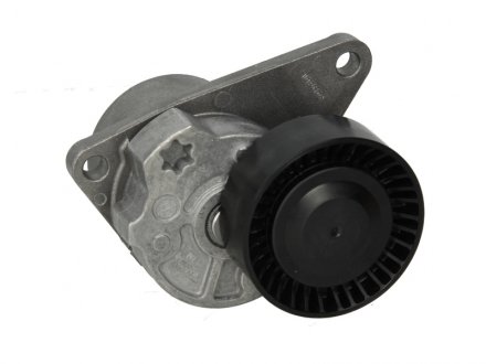 Натяжник ременя генератора Volvo C70/S40/S60/S70/S80/V40/V70 -07 INA 534 0103 10