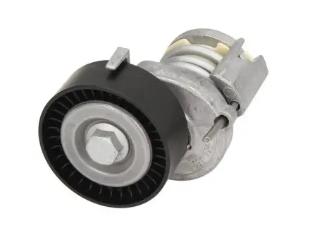 Натяжник ременя генератора VW Polo/Golf/Skoda Octavia/Fabia 1.0-1.6 97- INA 534 0123 20