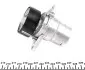 Натяжник ременя генератора VW Passat B8, 1.8/2.0 TSI 15-, CJSC,CJSA,CXDA,CHHB, 132/162kw INA 534 0510 10 (фото 3)