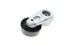 Натяжник ремня генератора Land Rover Discovery/Range Rover 2.7/3.0 04- INA 534 0668 10 (фото 3)