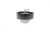 Натяжник ремня генератора Land Rover Discovery/Range Rover 2.7/3.0 04- INA 534 0668 10 (фото 6)