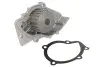 Насос воды Fiat Scudo/Ducato/Citroen Jumpy/Berlingo 1.9D/2.0HDi INA 538 0008 10 (фото 2)