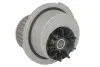Насос воды Opel Astra F/G/Corsa/Vectra B 1.4/1.6 16V 94-05, z=23 538 0024 10
