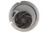 Помпа воды Opel Astra 1.8 98-/Vectra 1.8 16V 95- INA 538 0030 10 (фото 4)