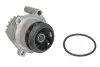 Насос воды VW T5/Caddy 1.9TDI/2.0SDI 03-10, z=19 BSU,BJB,BLS,BDJ,BST,BRR,AXC,BRS,AXB 538 0054 10