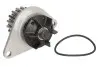 Насос воды Citroen Nemo/Peugeot Bipper 1.4i 08-, z=18 INA 538 0055 10 (фото 1)
