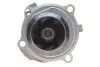 Насос воды VW Caddy III 1.6/BiFuel 04-15 (23z), BGU, BSE, BSF, CHGA INA 538 0088 10 (фото 3)